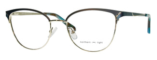 C2-Silver/Green