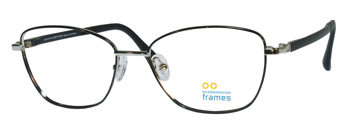 C3-Black/Silver