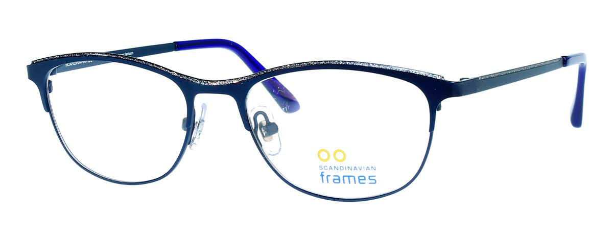 C4-Blue/Silver
