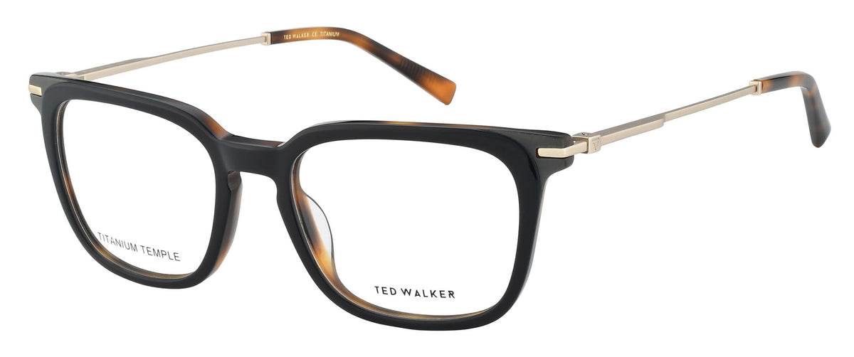 C2-Black/Havanna